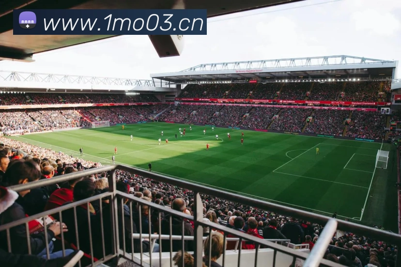 米兰app官网登录入口平台生态图